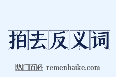 拍去反义词是什么意思的图片